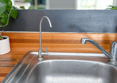 a sink and plant on a counter